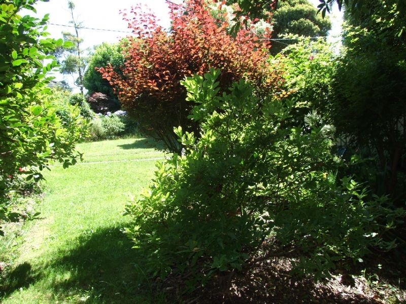 5 Cameron Road, Ringwood North VIC 3134