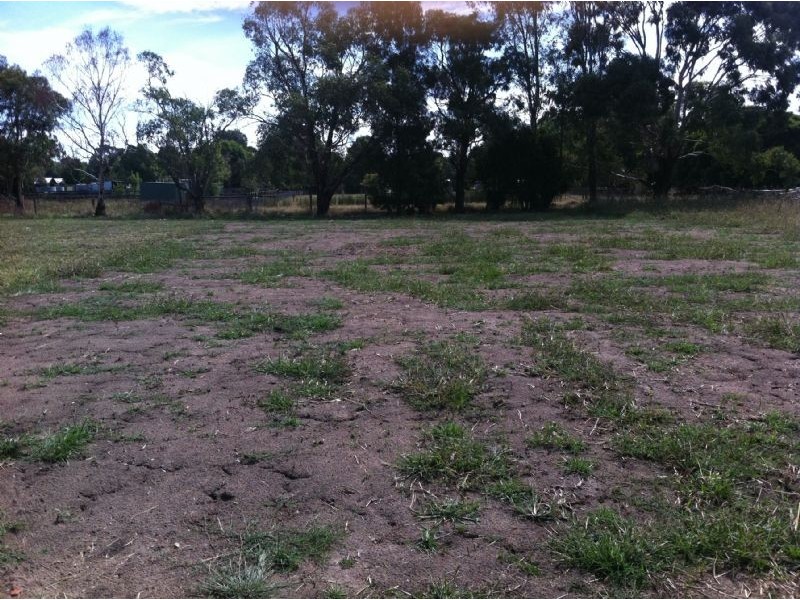 31 Duce Street, Cranbourne East VIC 3977