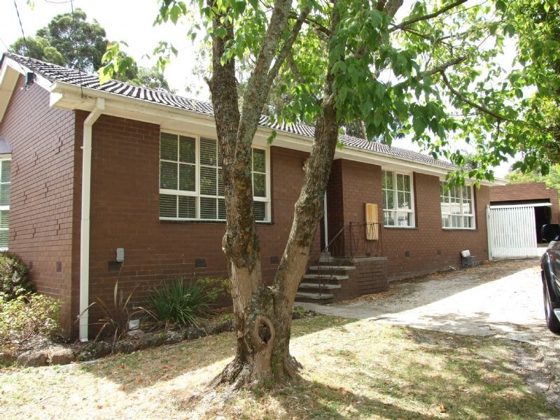 19 Sunhill Avenue, Ringwood VIC 3134