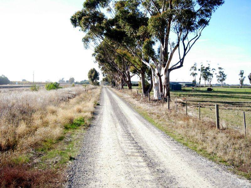 Lemnos VIC 3631