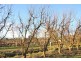 ORRVALE DISTRICT, Shepparton East VIC 3631