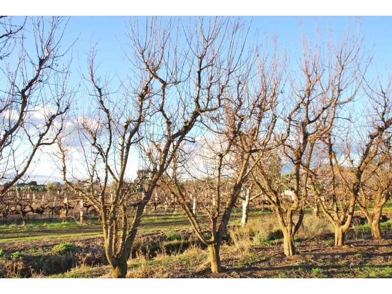 ORRVALE DISTRICT, Shepparton East VIC 3631