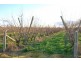 ORRVALE DISTRICT, Shepparton East VIC 3631