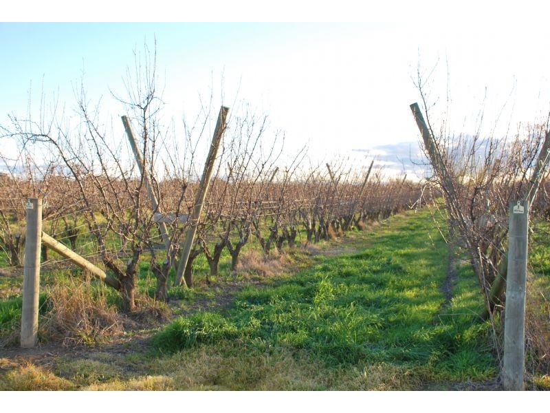 ORRVALE DISTRICT, Shepparton East VIC 3631