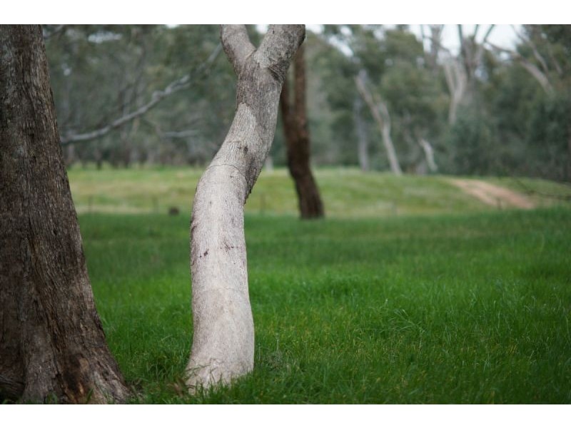 140  LAWS ROAD, Kialla VIC 3631