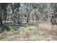 Shepparton VIC 3630