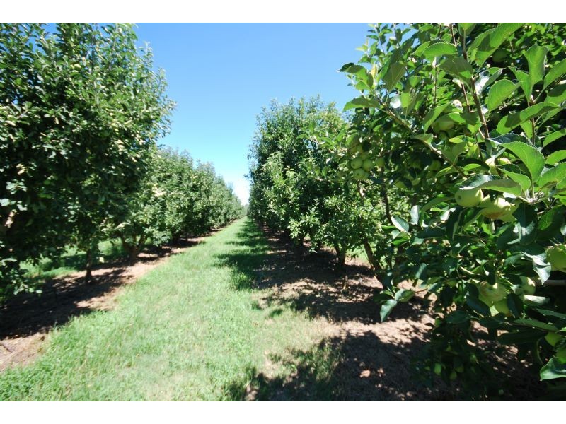 Shepparton East VIC 3631