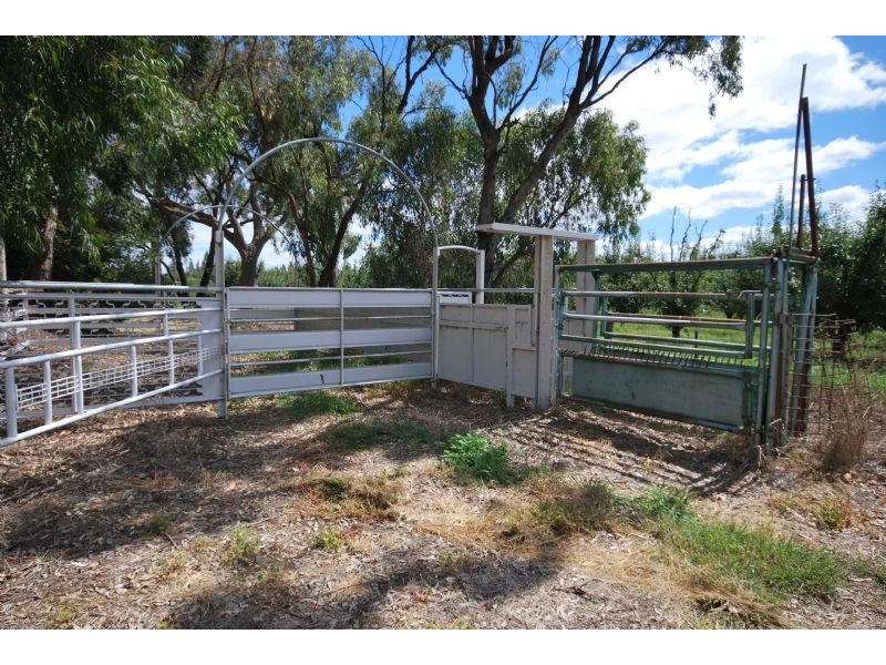 Shepparton East VIC 3631