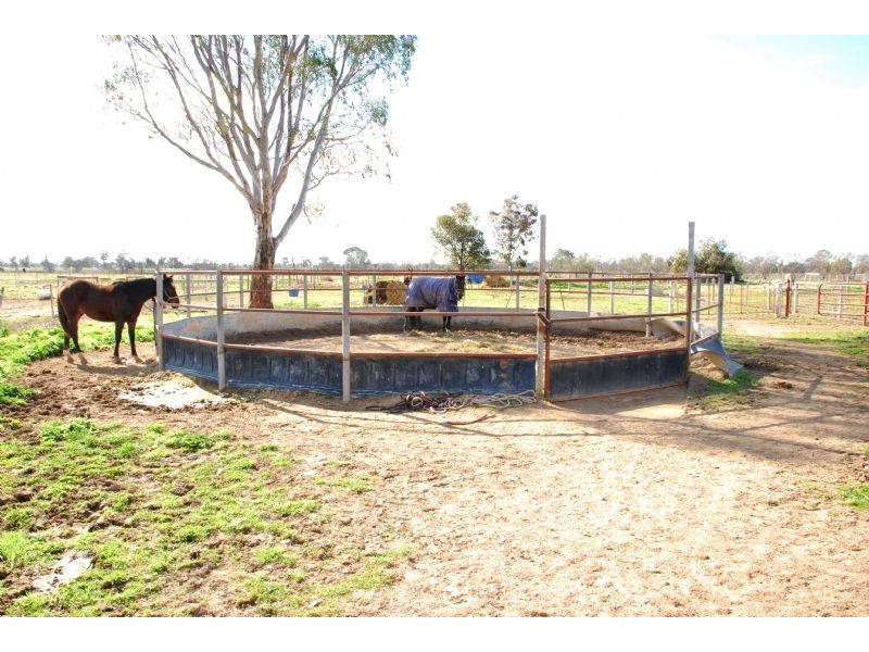 1000 Toolamba Road, Toolamba VIC 3614