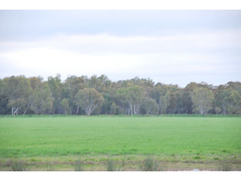 255 Lord Road, Bunbartha VIC 3634