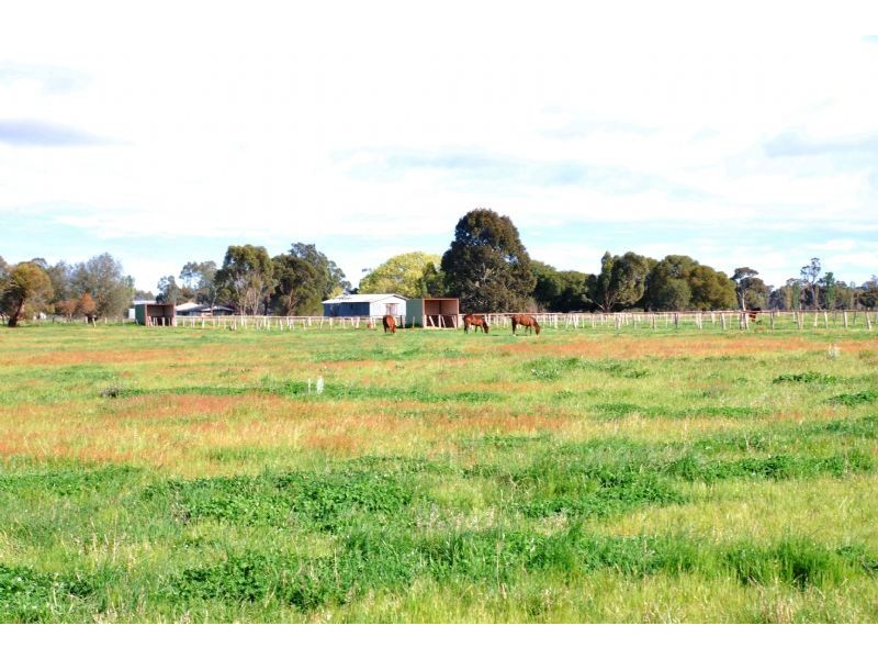 785 Avenel-Nagambie Road, Avenel VIC 3664