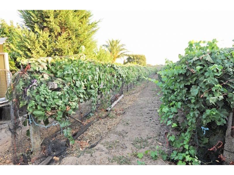 17 Gennari Road, Kialla VIC 3631