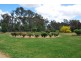 1567 Longwood Shepparton rd, Nagambie VIC 3608