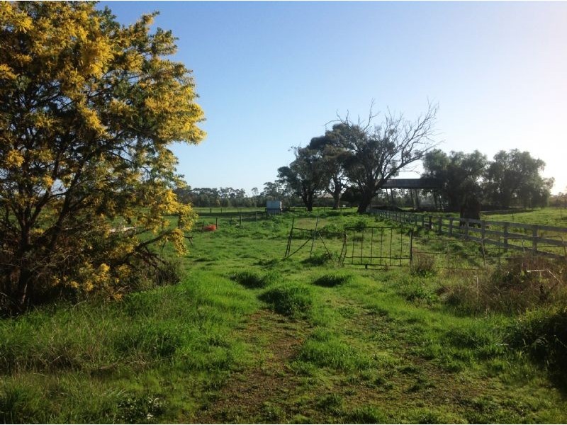 993 Hammond Road, Murchison VIC 3610