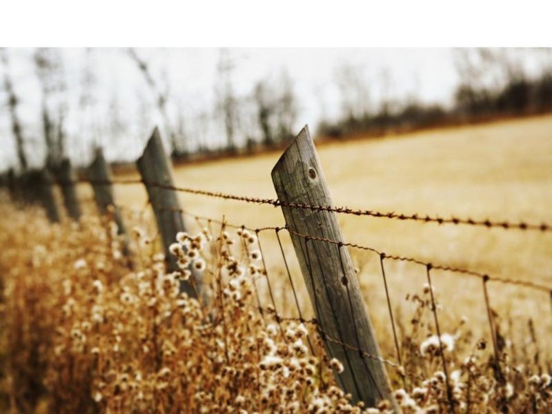 Lot 29 ViewPoint, Katandra VIC 3634