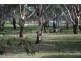 144 Arcadia Two Chain Road, Arcadia VIC 3631
