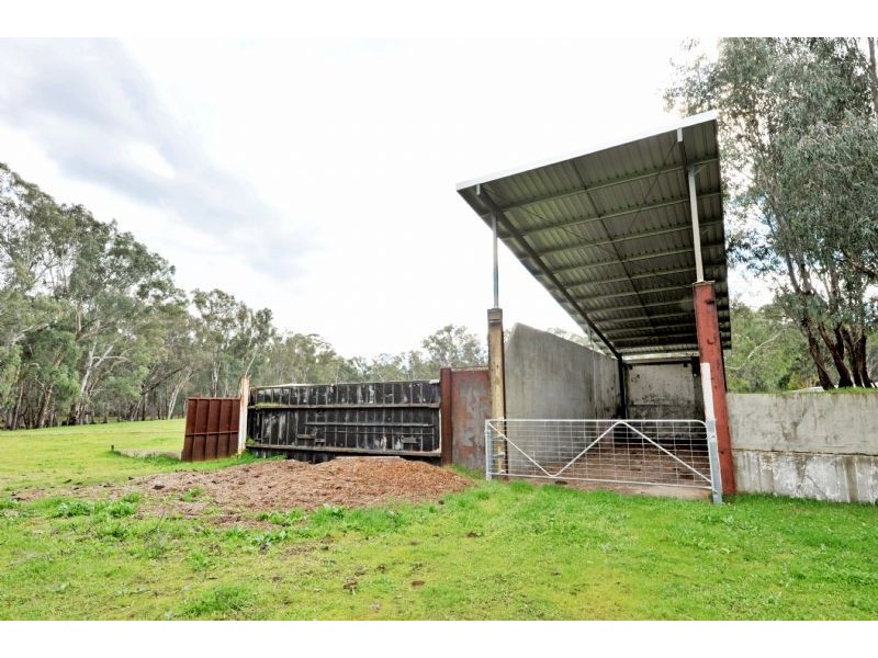 11 Edgewater Road, Kialla VIC 3631