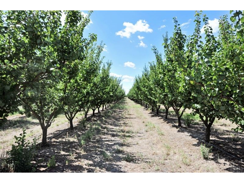 230 Orrvale Road, Shepparton East VIC 3631