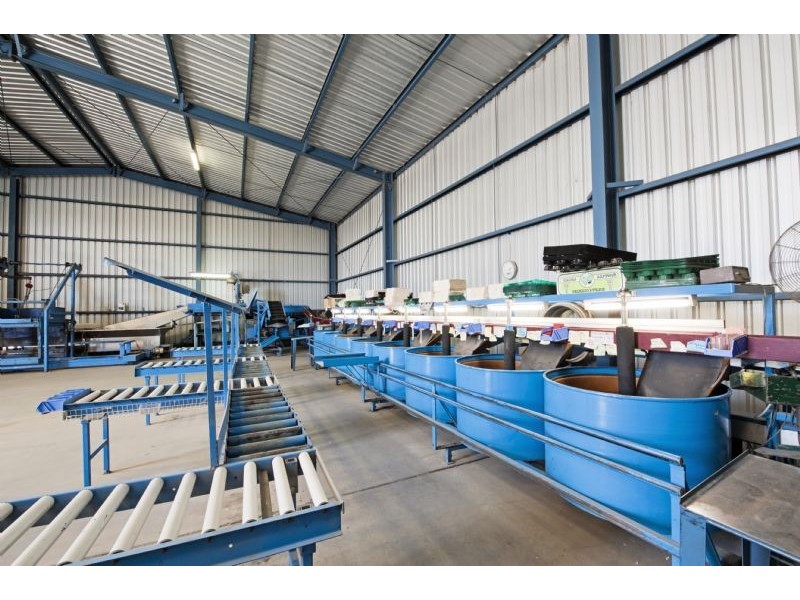 230 Orrvale Road, Shepparton East VIC 3631