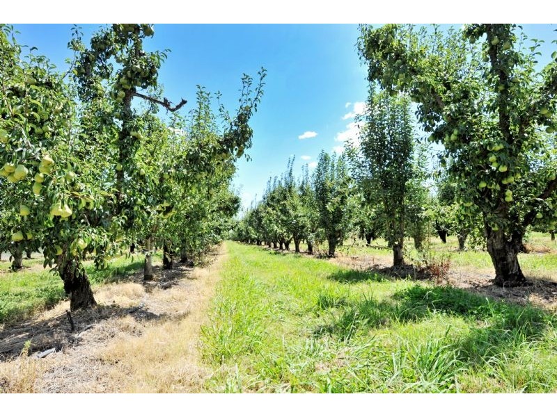 230 Orrvale Road, Shepparton East VIC 3631