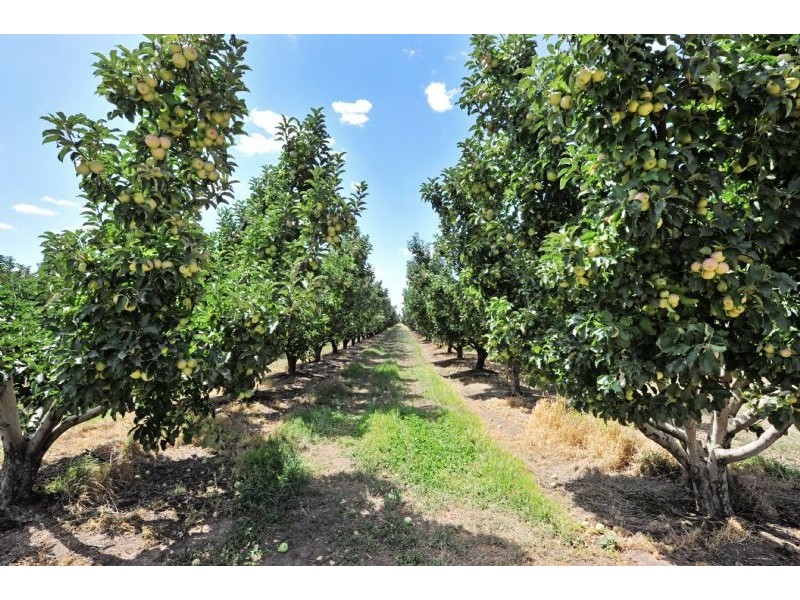 230 Orrvale Road, Shepparton East VIC 3631