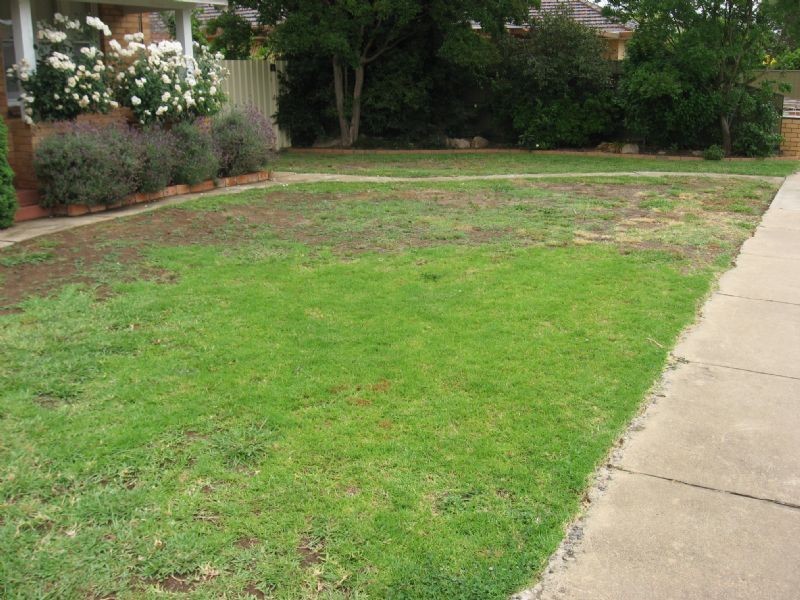 10 Collet Street, Shepparton VIC 3630