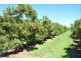 160 Prentice Road, Shepparton East VIC 3631