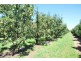 160 Prentice Road, Shepparton East VIC 3631