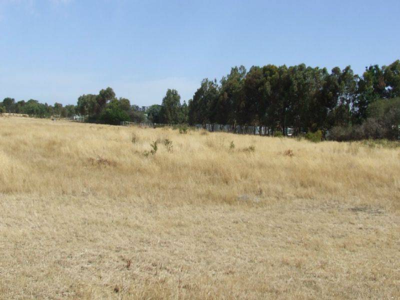 Lot 1,2,3 & 5 Caramut Road, Winslow VIC 3281