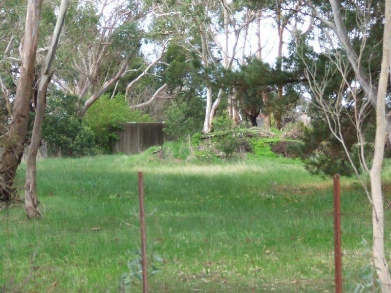 Dawson Street, Hawkesdale VIC 3287