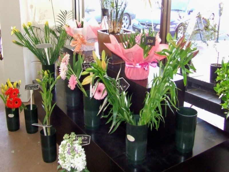 Warrnambool VIC 3280