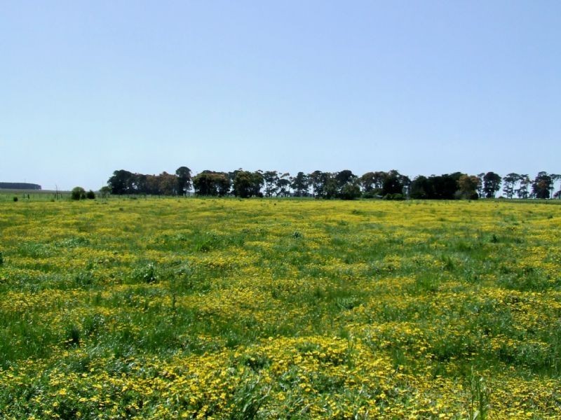 239 Connewarren Lane, Mortlake VIC 3272