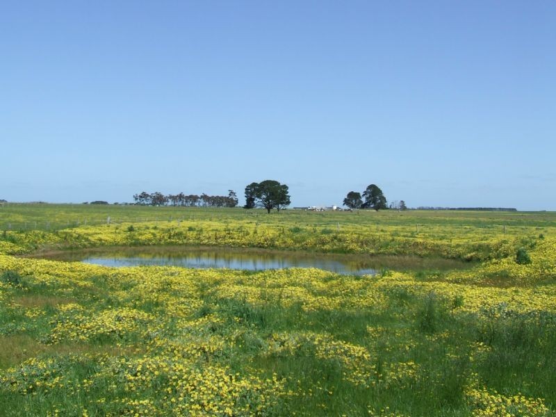 239 Connewarren Lane, Mortlake VIC 3272