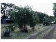Mortlake VIC 3272