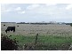 Mortlake VIC 3272