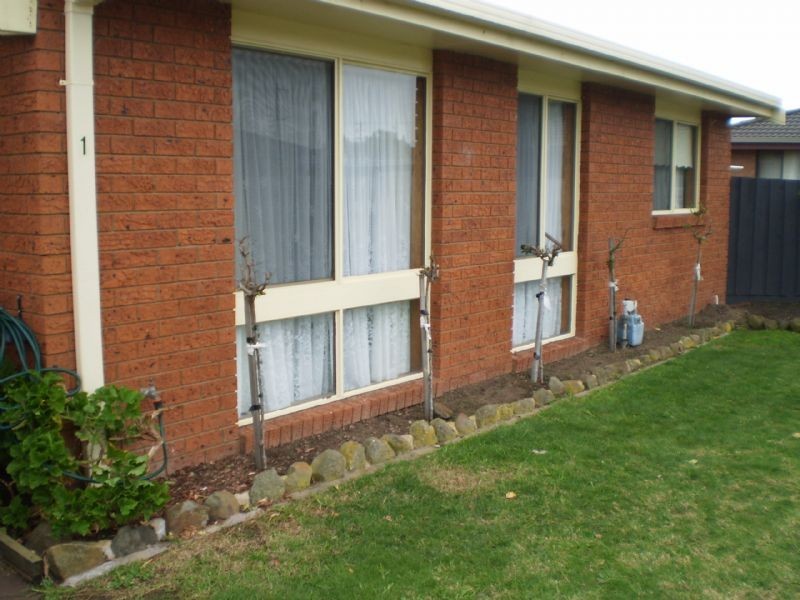 1/9 Dunlea Court, Warrnambool VIC 3280