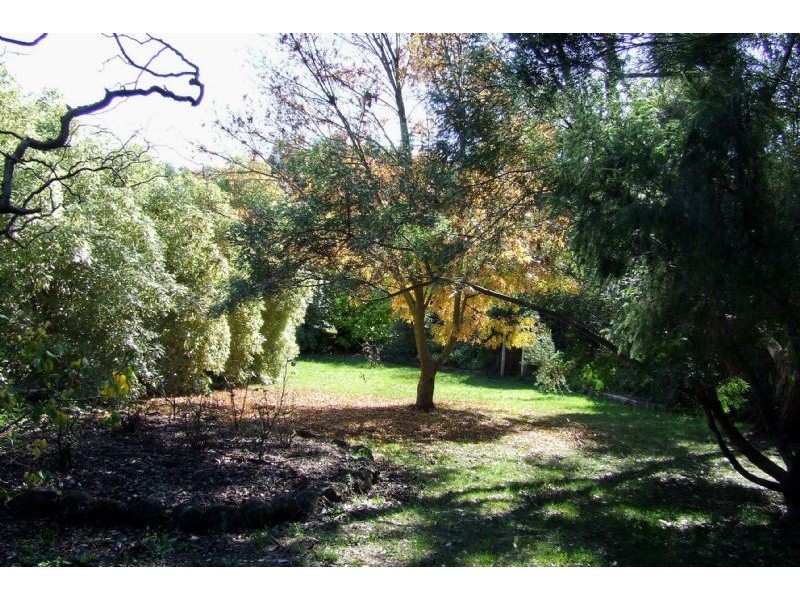 Bushfield VIC 3281
