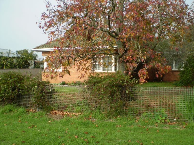 404 Blacks Road, Noorat VIC 3265