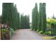 Grassmere VIC 3281