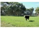 849 Rowans Road, Nullawarre VIC 3268