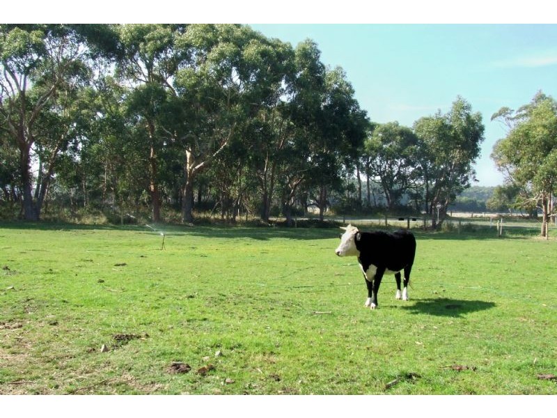 849 Rowans Road, Nullawarre VIC 3268