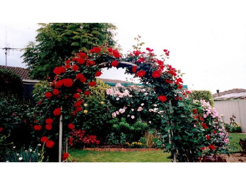 Warrnambool VIC 3280