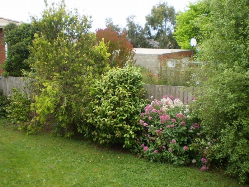 1/31 Balmoral Road, Warrnambool VIC 3280