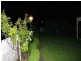 Tower Hill VIC 3283