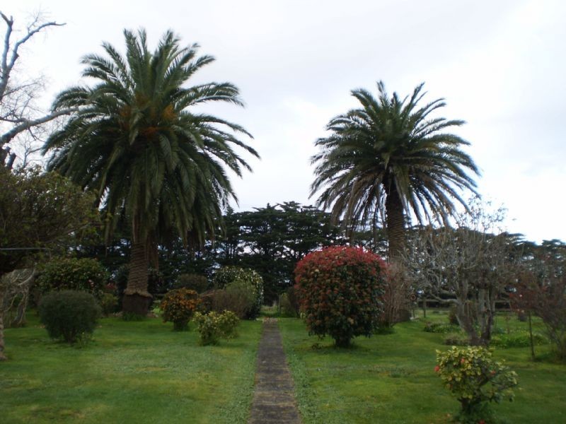 320 Lavers Hill Road, Cobden VIC 3266
