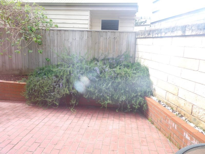 Warrnambool VIC 3280