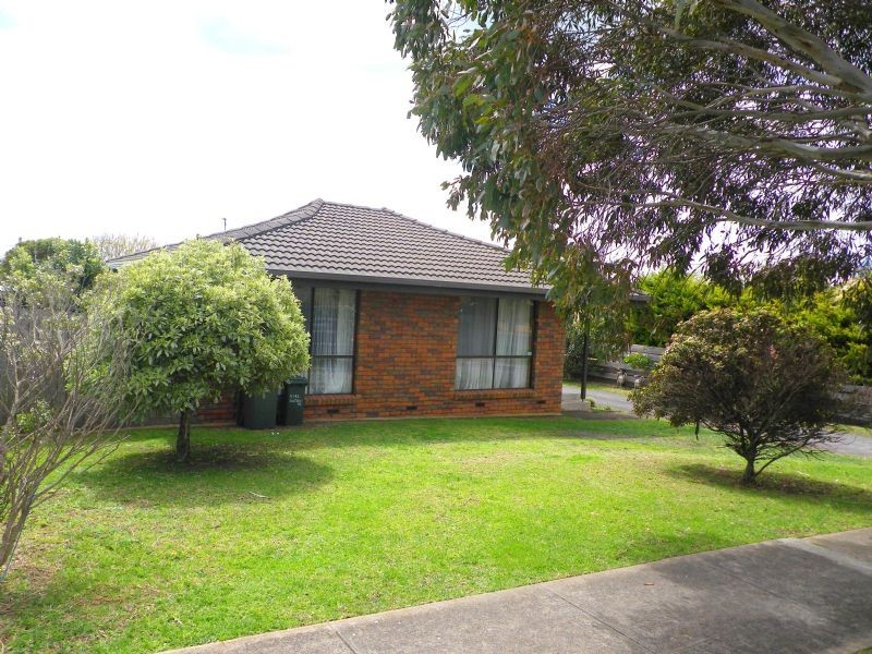 Warrnambool VIC 3280