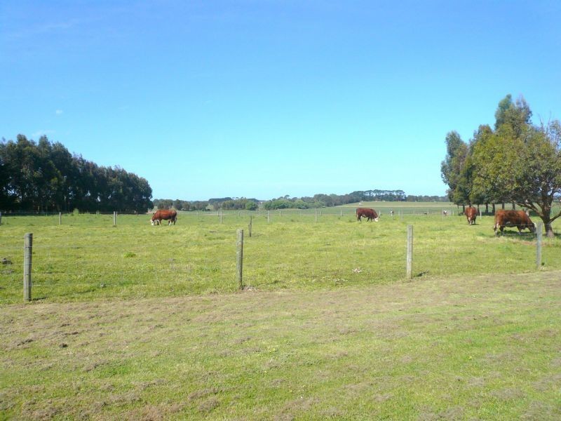 Bushfield VIC 3281