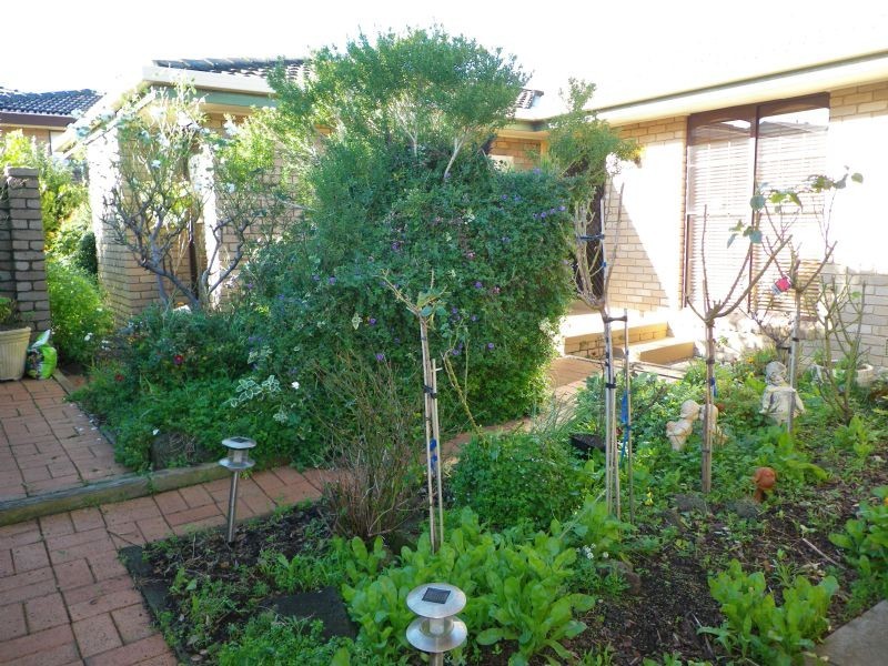 Warrnambool VIC 3280