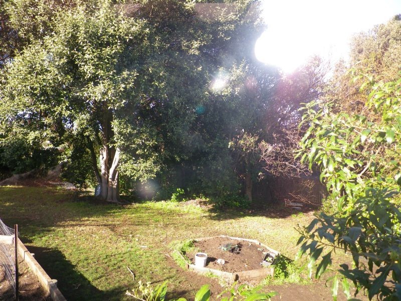 Warrnambool VIC 3280